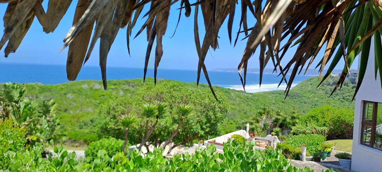 Villa Cape Garden Route Wildernis Exteriér fotografie